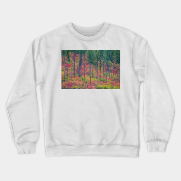 Fall in the Cascades Crewneck Sweatshirt by kchase